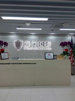 ”藤门国际“大型除甲醛项目